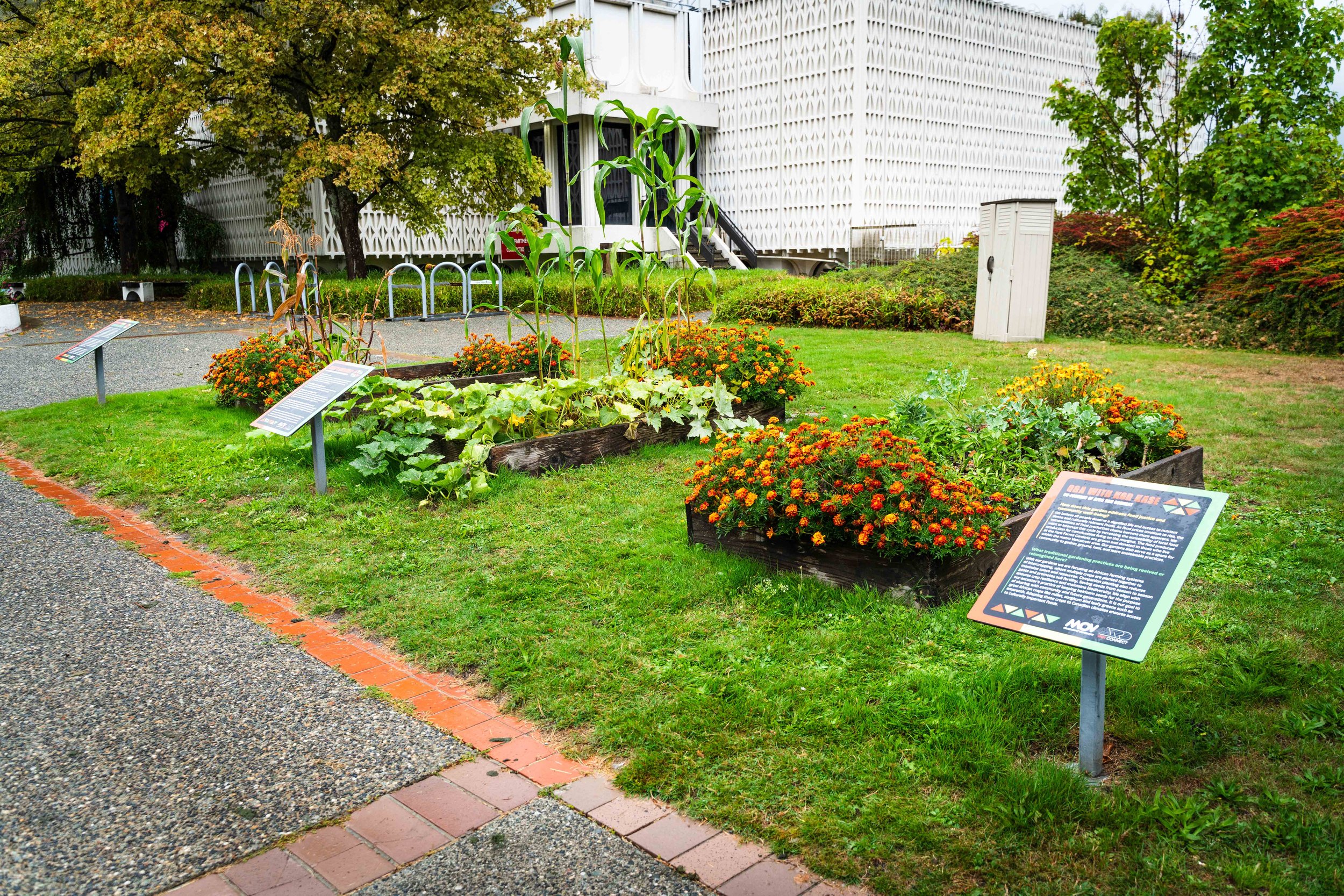 Backyard Garden — MOV | Museum of Vancouver